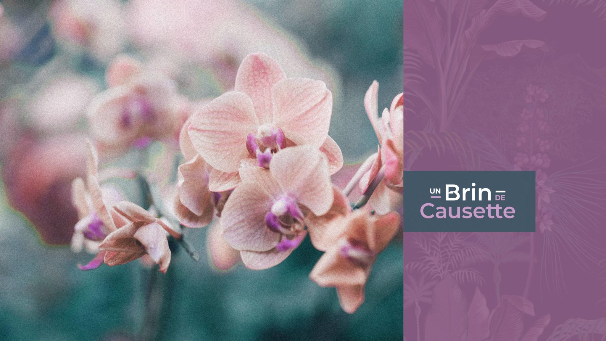 Un Brin de Causette Un Brin de Causette