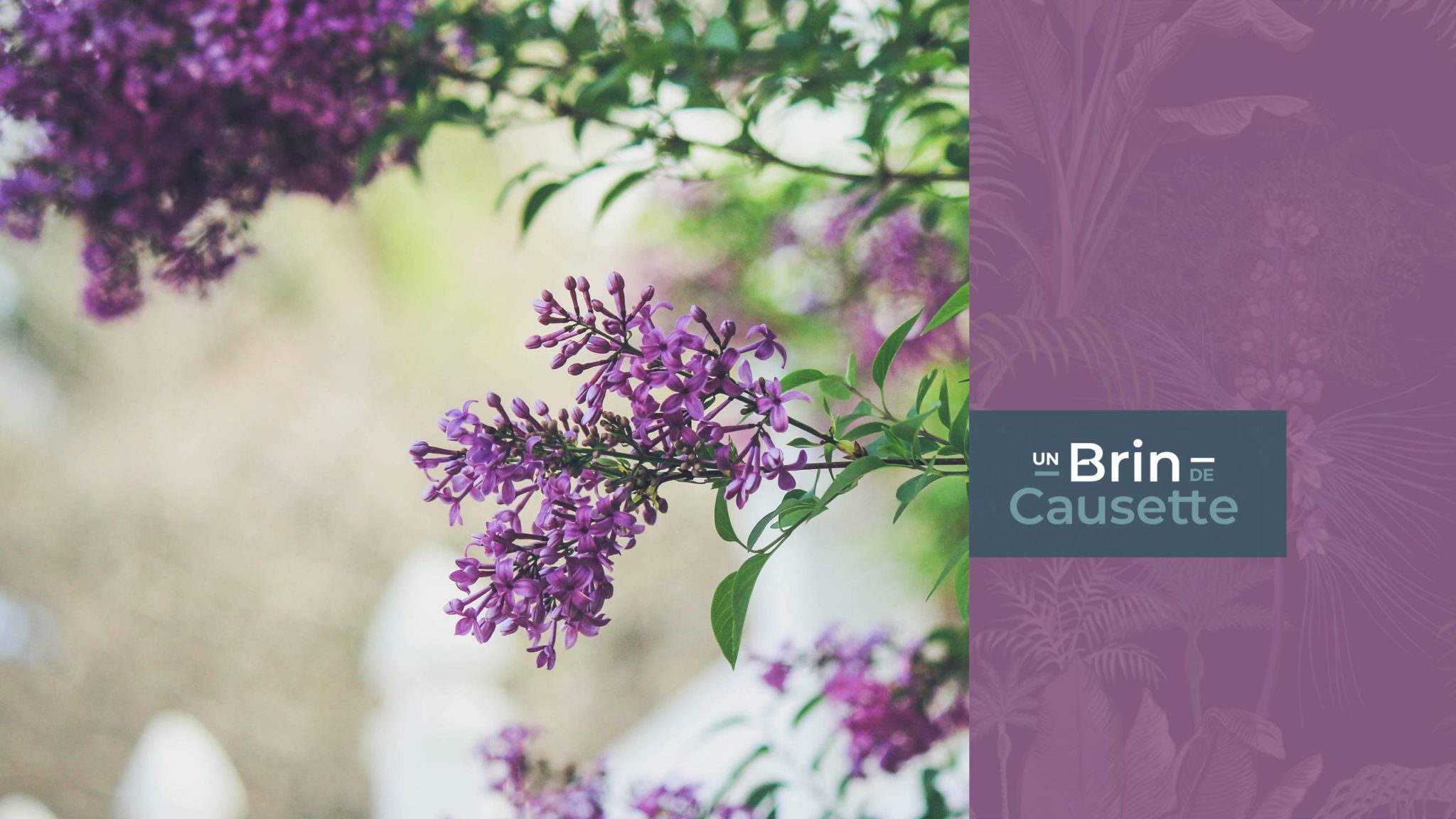 Un Brin de Causette Un Brin de Causette