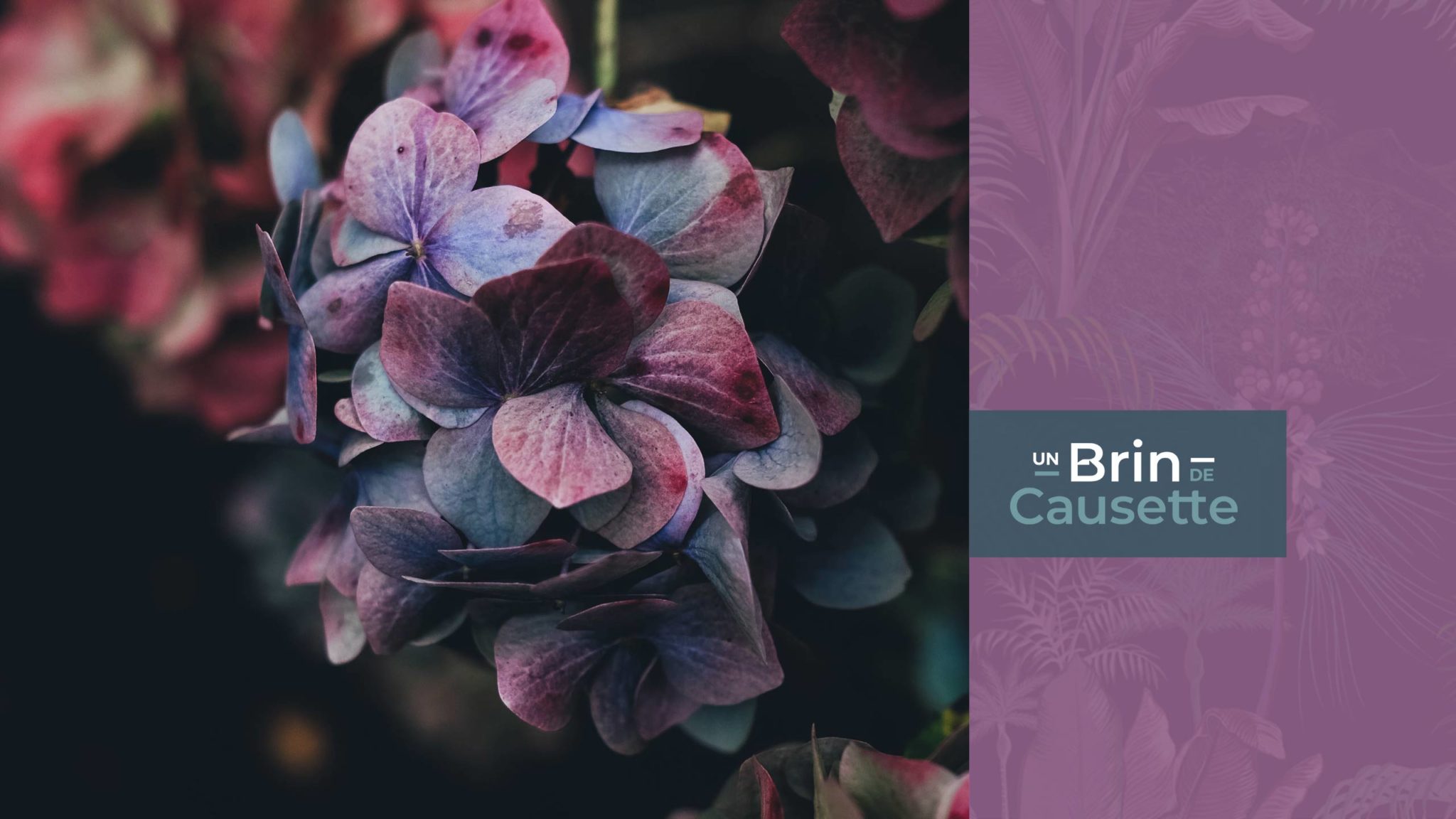 Un Brin de Causette Un Brin de Causette