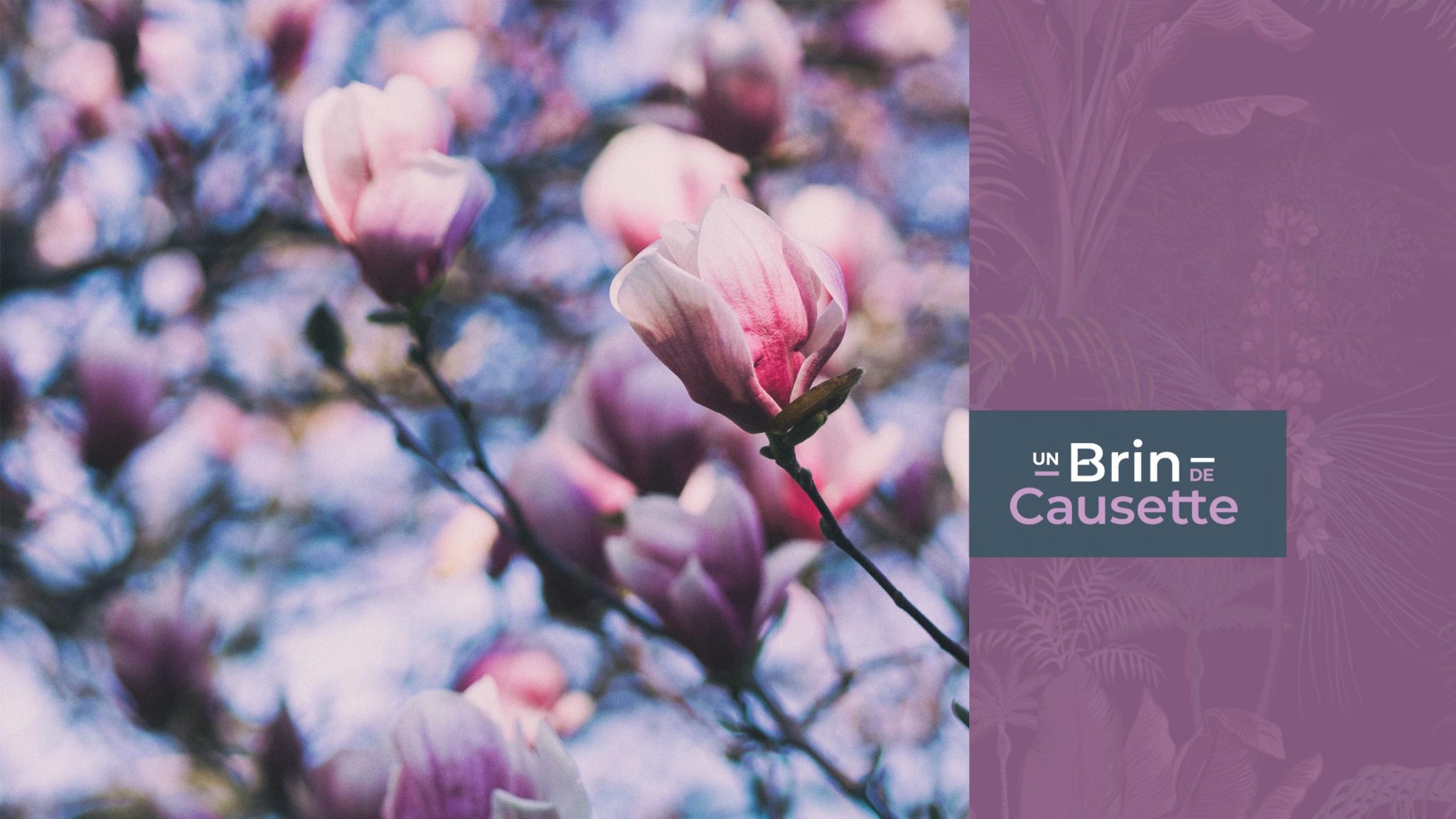 Un Brin de Causette Un Brin de Causette