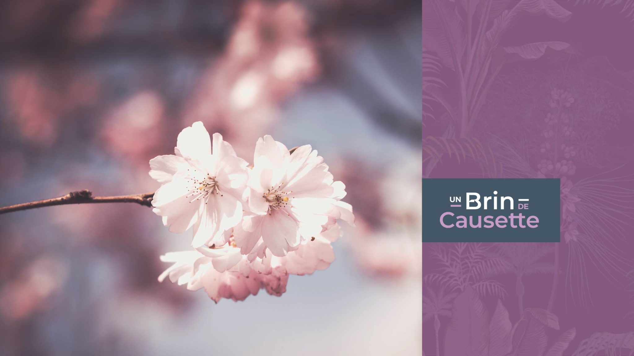 Un Brin de Causette Un Brin de Causette