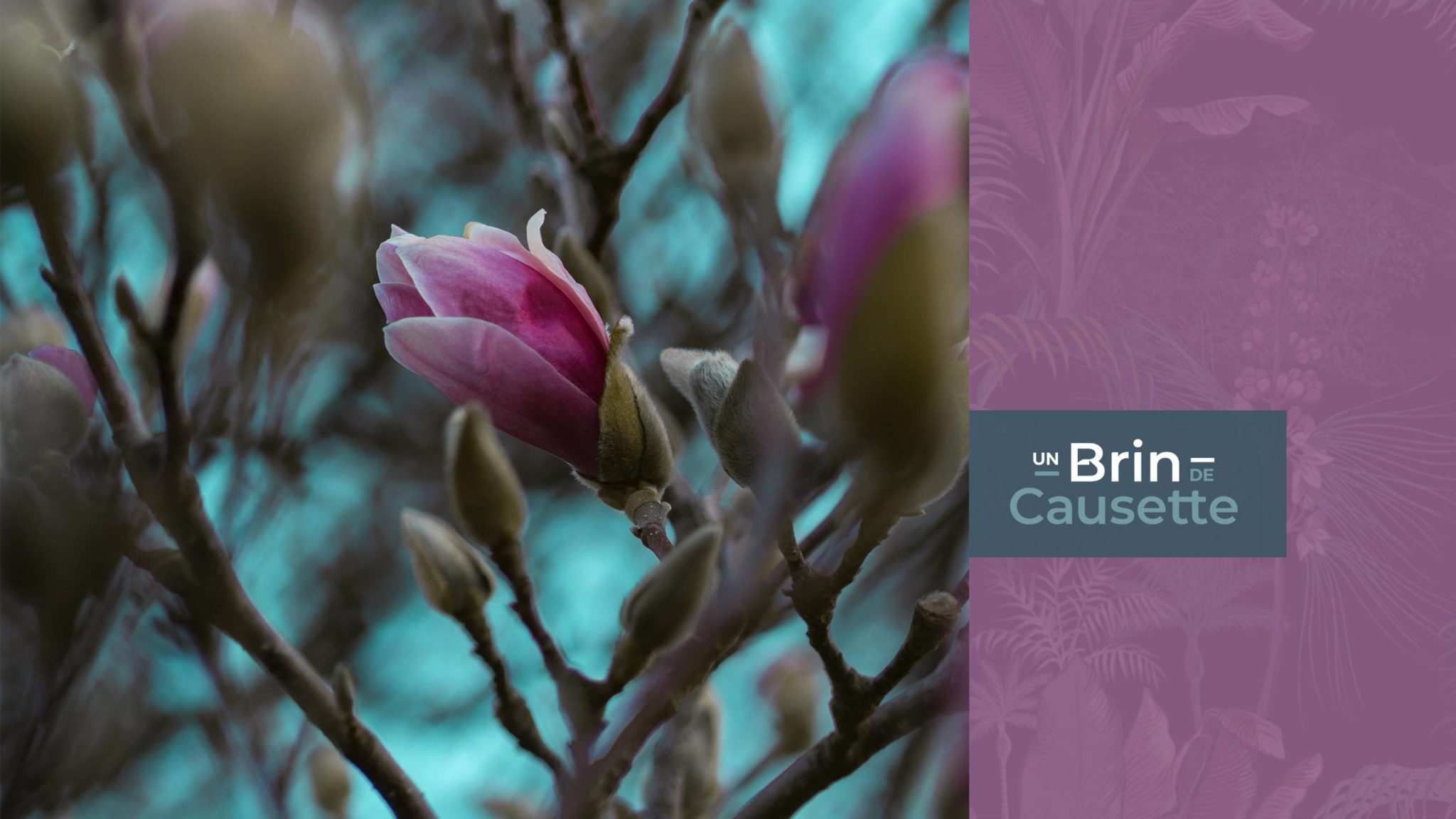 Un Brin de Causette Un Brin de Causette